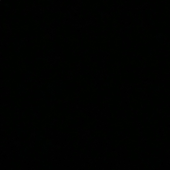 sophia_we